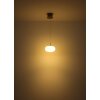 Globo lighting Quintara hanging light LED matt nickel, 1-light source