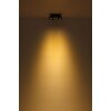 Globo lighting Rae ceiling light LED black, 2-light sources