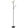 Globo lighting Skopo ceiling light LED black, 1-light source