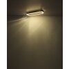 Globo lighting Mariella ceiling light LED black, 1-light source, Remote control
