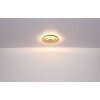 Globo lighting Heda ceiling light LED silver, 1-light source
