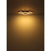 Globo lighting I ceiling light LED grey, black, 1-light source