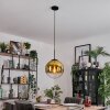 Gastor hanging light, globe light 30 cm gold, clear, 1-light source