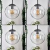 Gastor hanging light, globe light clear, 3-light sources