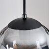 Gastor hanging light, globe light clear, Smoke-coloured, 3-light sources