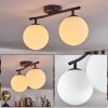 Gastor ceiling light, globe light white, 2-light sources