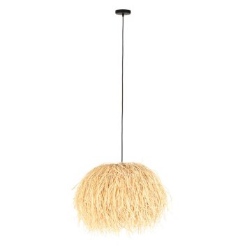 Steinhauer lights Grass pendant light black, 1-light source