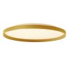 Steinhauer lights Flady ceiling light LED gold, 2-light sources