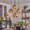 Ripoll hanging light, globe light, pendant light gold, clear, 4-light sources
