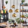 Ripoll hanging light, globe light, pendant light gold, clear, 4-light sources