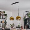 Gastor hanging light, globe light, pendant light gold, clear, 2-light sources