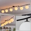 Gastor ceiling light, globe light white, 6-light sources