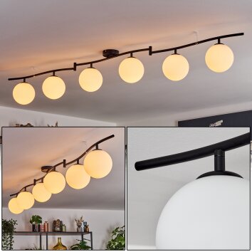 Gastor ceiling light, globe light white, 6-light sources