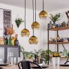 Koyoto hanging light, globe light, pendant light 35 cm gold, clear, 4-light sources
