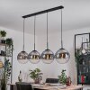 Gastor hanging light, globe light, pendant light clear, Smoke-coloured, 4-light sources