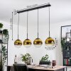 Gastor hanging light, globe light, pendant light gold, clear, 4-light sources