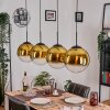 Gastor hanging light, globe light, pendant light gold, clear, 4-light sources
