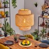 Vireda hanging light, pendant light black, 1-light source