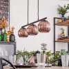 Koyoto hanging light, globe light, pendant light coppery, 3-light sources
