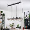 Gastor hanging light, globe light, pendant light clear, Smoke-coloured, 5-light sources