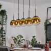Gastor hanging light, globe light, pendant light gold, clear, 5-light sources