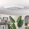 Flavlev ceiling light LED silver, white, 1-light source, Remote control