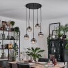 Gastor hanging light, globe light, pendant light clear, Smoke-coloured, 5-light sources