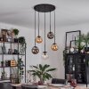 Gastor hanging light, globe light, pendant light Amber, clear, Smoke-coloured, 5-light sources