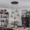 Gastor hanging light, globe light, pendant light chrome, clear, Smoke-coloured, 5-light sources