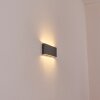 Gamas outdoor wall light, bathroom light, wall light, wall spotlight anthracite, 1-light source