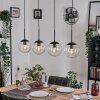 Gastor hanging light, globe light, pendant light clear, 4-light sources