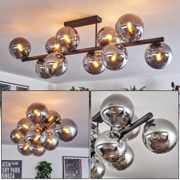 Gastor ceiling light, globe light Smoke-coloured, 10-light sources