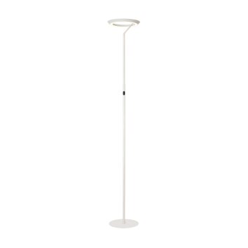 Lucide lights CELESTE floor lamp LED white, 1-light source