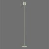 Leuchten Direkt lights EURIA floor lamp LED green, 1-light source