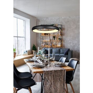 Trio lights Cardona pendant light LED black, 1-light source