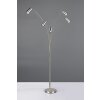 Trio lights Marley floor lamp, Arch lamps matt nickel, 5-light sources