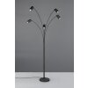 Trio lights Marley floor lamp, Arch lamps black, 5-light sources
