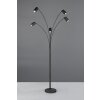 Trio lights Marley floor lamp, Arch lamps black, 5-light sources
