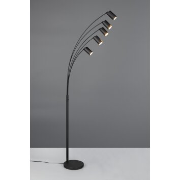 Trio lights Marley floor lamp, Arch lamps black, 5-light sources
