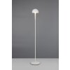 Reality lights Mendorez floor lamp LED grey, 1-light source
