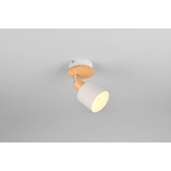 Trio lights Shanti ceiling spotlight grey, 1-light source