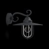 Philips PASTURE Outdoor Wall Light black, 1-light source