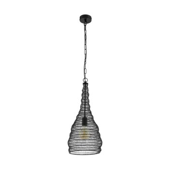 Eglo COLTEN Pendant Light black, 1-light source