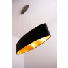 Eglo Maserlo hanging light matt nickel, 2-light sources