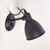 TIMOLA Wall Light black, 27-light sources