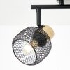 Brilliant lights Giada ceiling spotlight black, 2-light sources