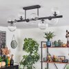Chehalis ceiling light, globe light clear, 8-light sources