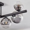 Chehalis ceiling light, globe light clear, Smoke-coloured, 8-light sources