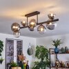 Chehalis ceiling light, globe light clear, Smoke-coloured, 8-light sources