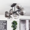 Chehalis ceiling light, globe light clear, Smoke-coloured, 8-light sources